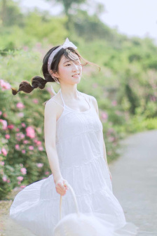 B站菊花PROJECTBGM